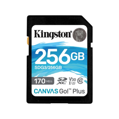Kingston Canvas Go Plus 256GB SDXC UHS-I V30 U3 Memory  Card 170MB/s (SDG3/256GB)