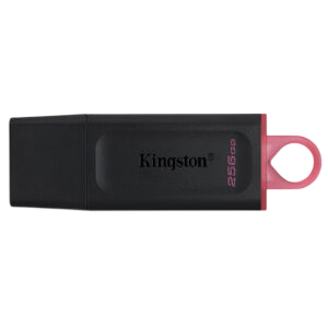 Kingston DataTraveler Exodia DTX 256GB USB 3.2 Gen 1 Flash Drive for High-Speed Portable Storage and File Transfer