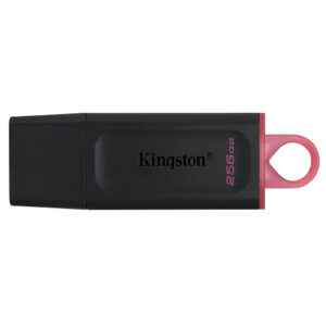 Kingston DTX 256GB USB 3.2 Gen 1 Flash Drive Compact Pen Drive with High-Speed Performance for Everyday Data Storage