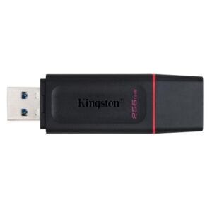 Kingston 256GB DataTraveler Exodia DTX USB Flash Drive for Laptop PC Mobile and Multimedia Storage Needs
