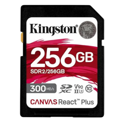 SanDisk SDR2/256GB microSDXC UHS-I Memory Card