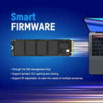 Rear Label Symmetrical View of HIKVISION E3000 1TB NVMe M.2 SSD