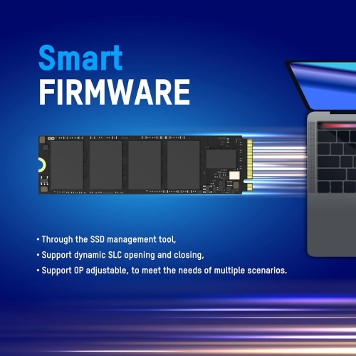 Rear Label Symmetrical View of HIKVISION E3000 1TB NVMe M.2 SSD